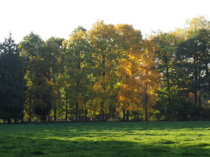 Vagevuurbos en Lippensgoed-Bulskampveld (België)